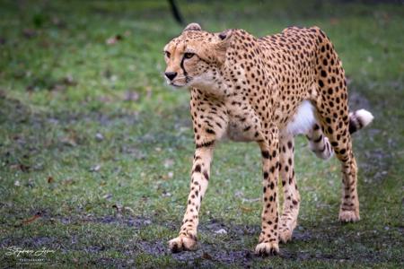 Zoo Leipzig