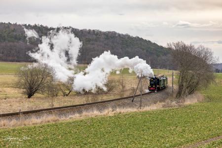 Rügensche BäderBahn Rasender Roland