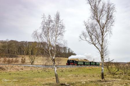 Rügensche BäderBahn Rasender Roland