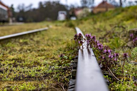 Schrodaer Kreisbahn