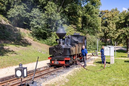 Waldeisenbahn Muskau