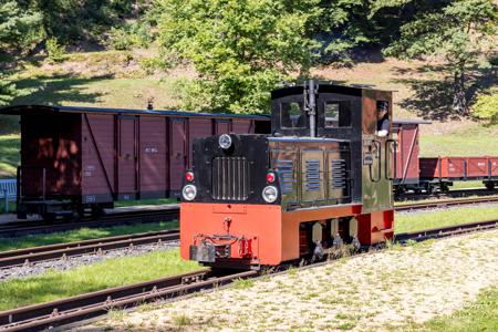 Waldeisenbahn Muskau