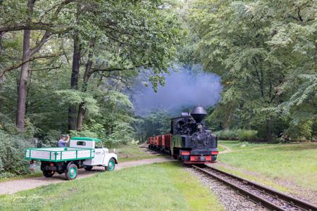 Waldeisenbahn Muskau