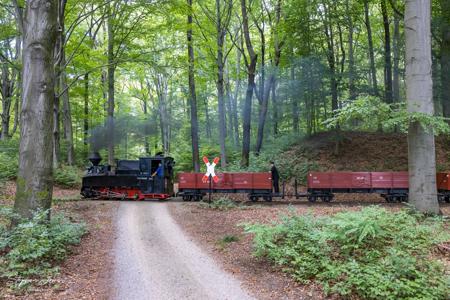 Waldeisenbahn Muskau