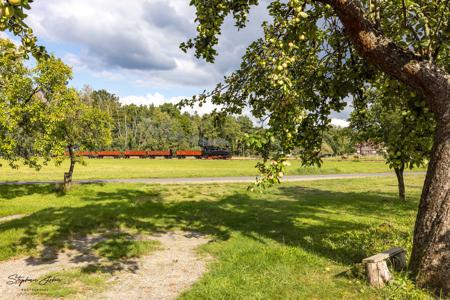 Waldeisenbahn Muskau