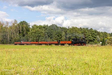 Waldeisenbahn Muskau