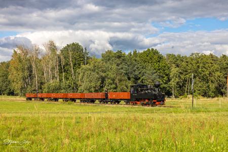 Waldeisenbahn Muskau