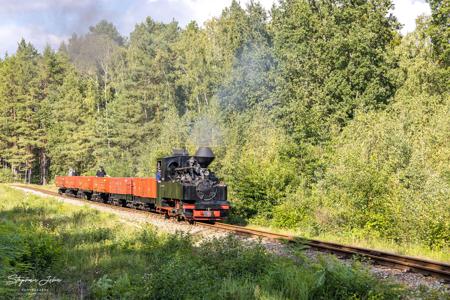 Waldeisenbahn Muskau