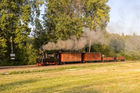 Waldeisenbahn Muskau