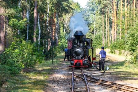 Waldeisenbahn Muskau