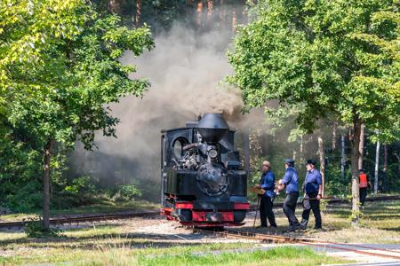 Waldeisenbahn Muskau