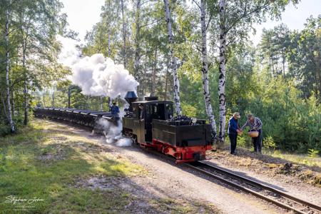 Waldeisenbahn Muskau