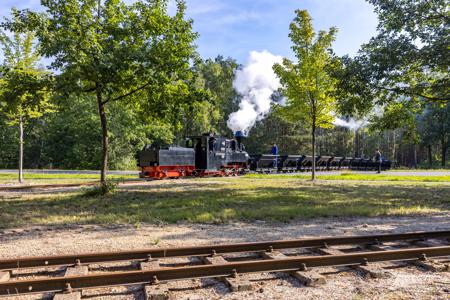 Waldeisenbahn Muskau