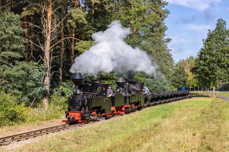 Waldeisenbahn Muskau