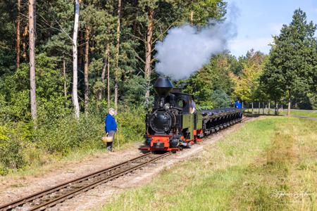 Waldeisenbahn Muskau