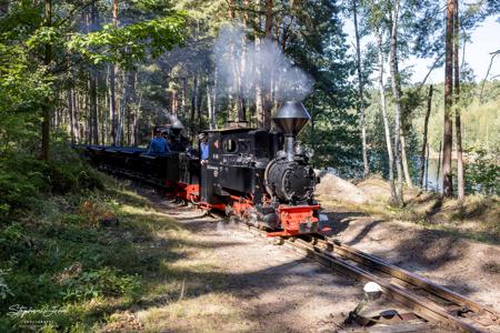 Waldeisenbahn Muskau