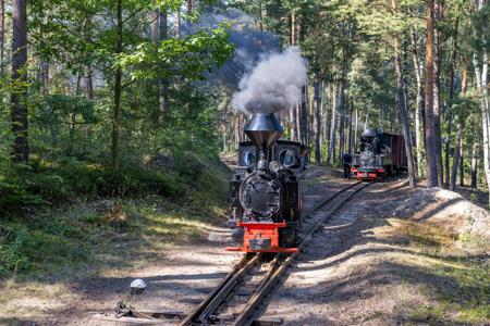 Waldeisenbahn Muskau