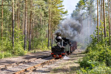 Waldeisenbahn Muskau