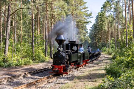 Waldeisenbahn Muskau