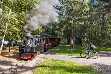 Waldeisenbahn Muskau