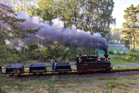 Waldeisenbahn Muskau