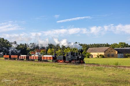 Waldeisenbahn Muskau