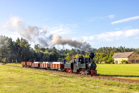 Waldeisenbahn Muskau