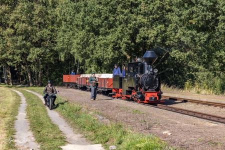 Waldeisenbahn Muskau