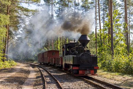 Waldeisenbahn Muskau