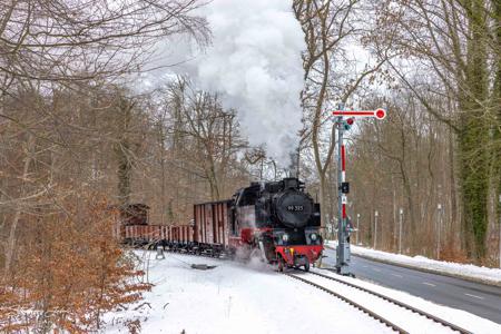 Winterdampf beim Molli