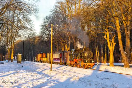 Winterdampf beim Molli