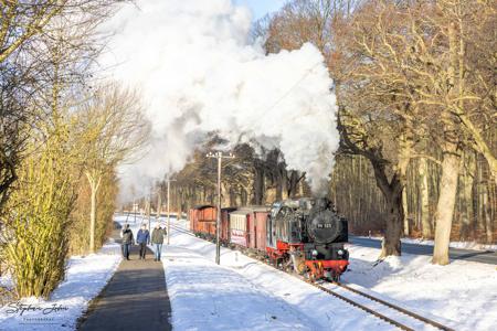 Winterdampf beim Molli