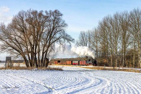 Winterdampf beim Molli