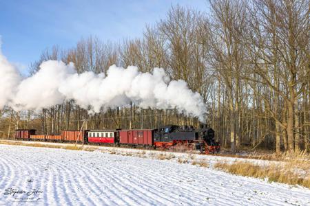 Winterdampf beim Molli