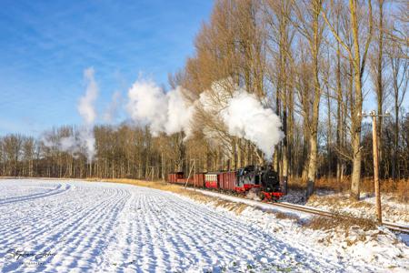 Winterdampf beim Molli