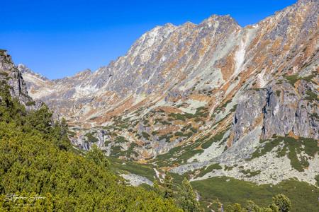 Hohe Felsflanke der Mlynická dolina mit hellen Schuttrinnen, braunen Grasbändern und grünen Latschen im Vordergrund.