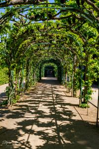 Schloss und Park Sanssouci