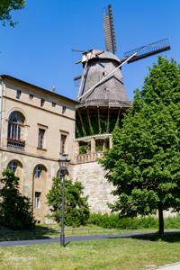 Schloss und Park Sanssouci